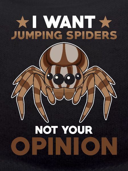 Jumping Spider Saying