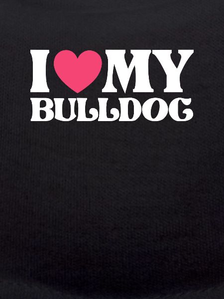 American Bulldog