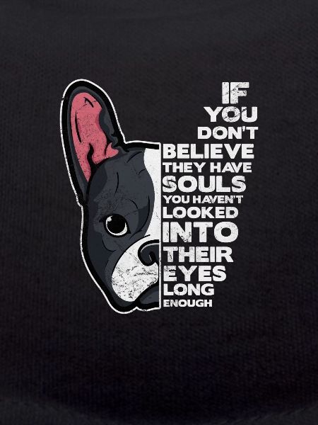 Boston Terrier