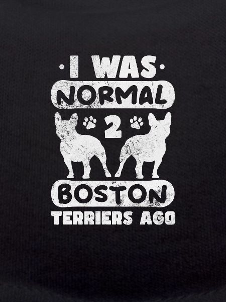 Boston Terrier
