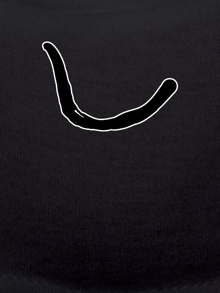 Korean letter N