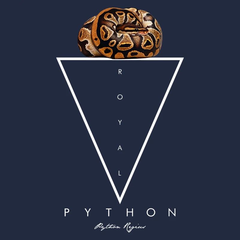 Royal Python géométrique moderne gardien de serpent