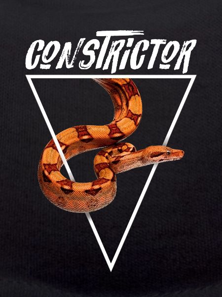 Boa Constrictor Geometric