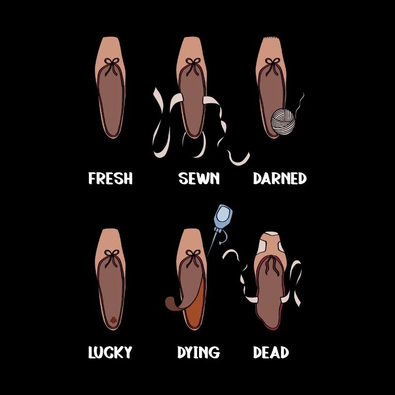 Das Leben eines Spitzenschuhs - Balletttänzerin