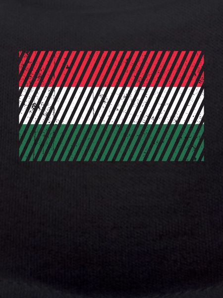 Hungary flag