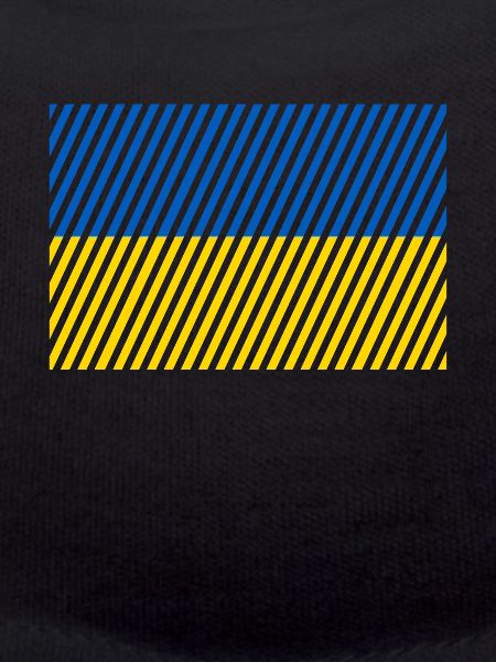 Ukraine flag
