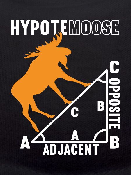 Professeur de mathématiques