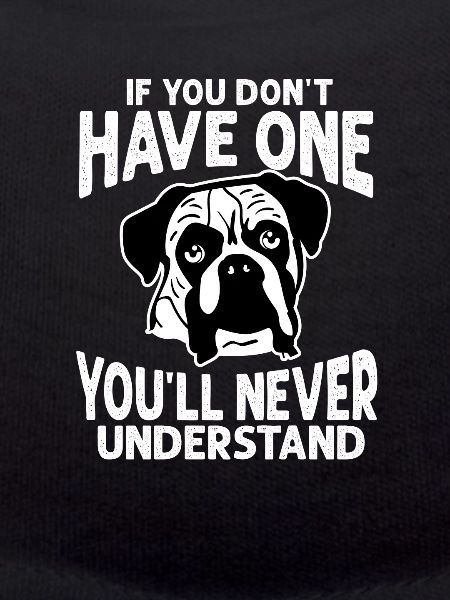 Boxer Dog