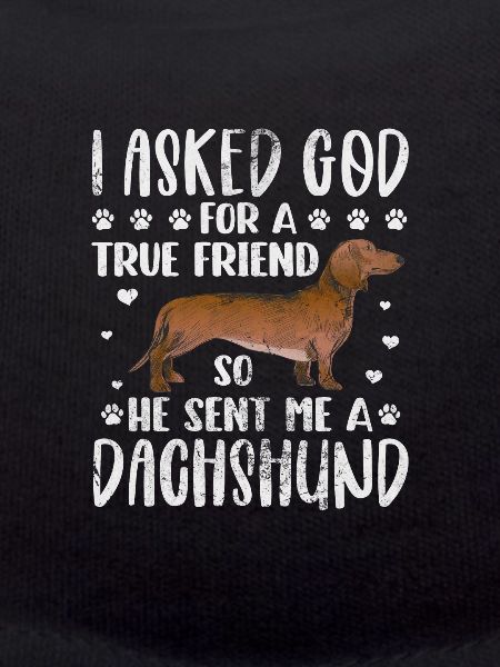 Dachshund