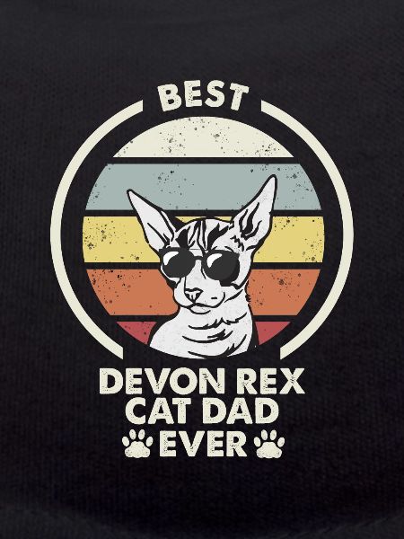Papa chat - Devon Rex Chat