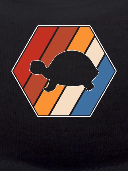 Turtle Retro