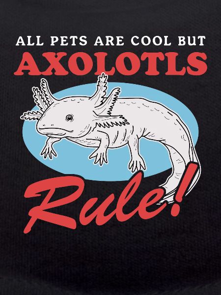 Axolotl Tailed Amphibians Gift