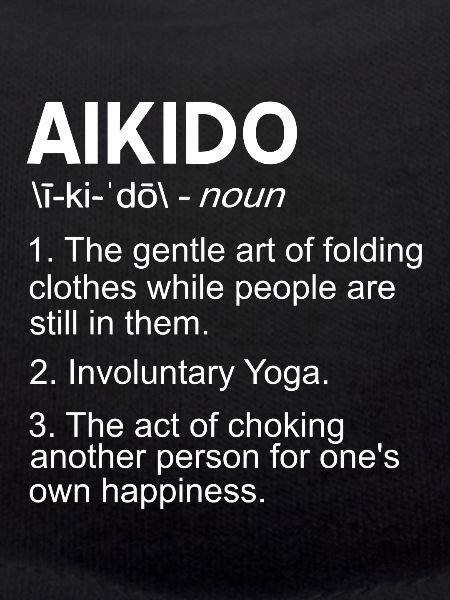 Aikido explanation funny