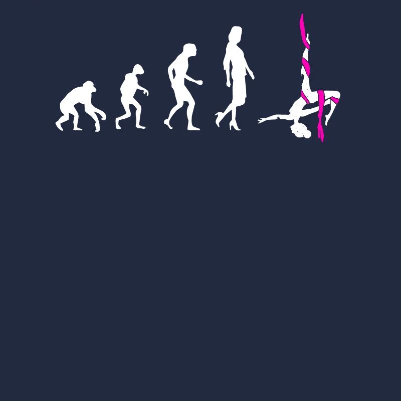 Aerial Silk Evolution - Gymnastique acrobatique