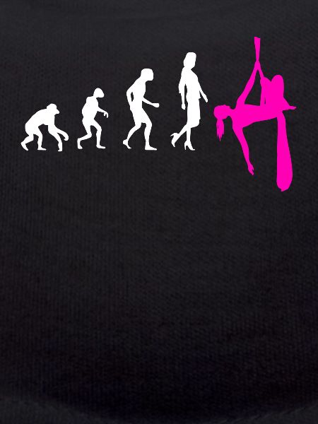 Aerial Silk Evolution - Aerial Circus