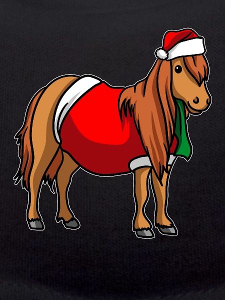 Pony Christmas Hat