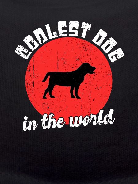 Chien cool dire
