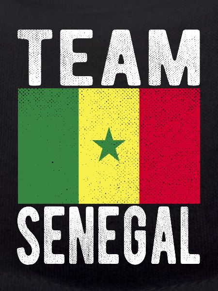 Senegal Flag