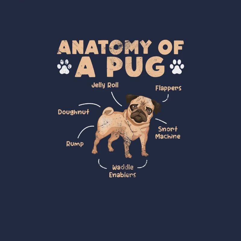 Pug