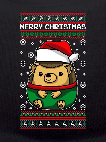 Igel mit Ugly Christmas Sweater