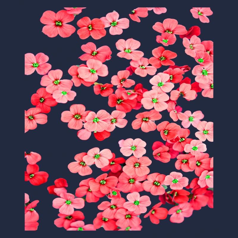 Fleurs rouges