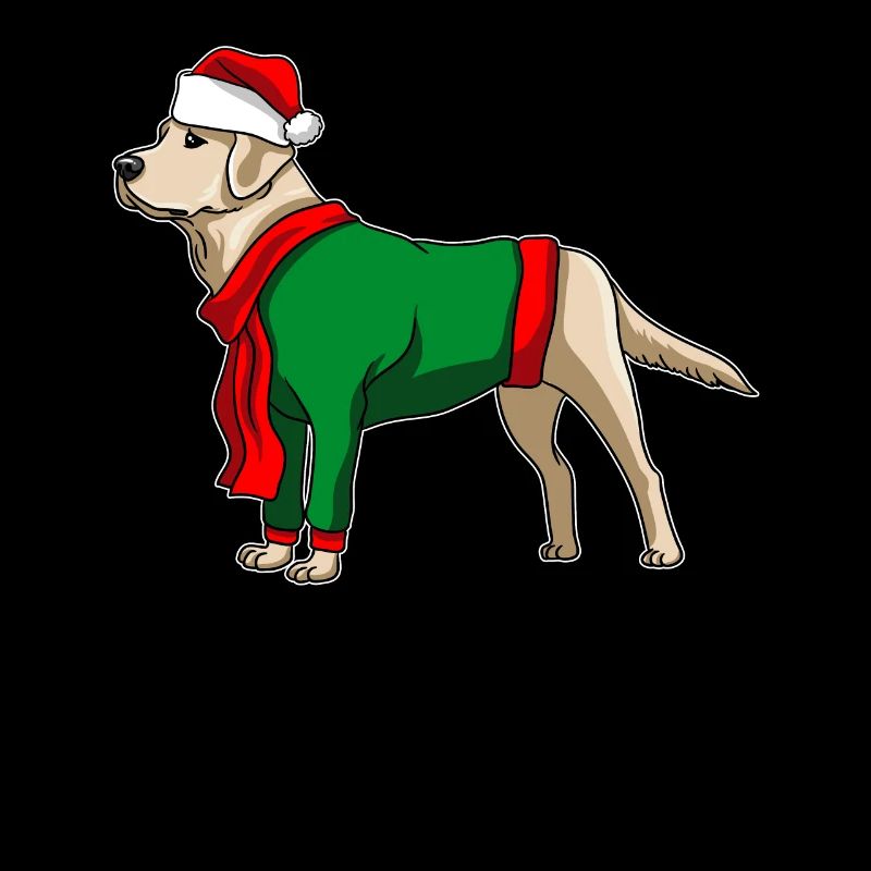 Chien Labrador avec pull de Noël