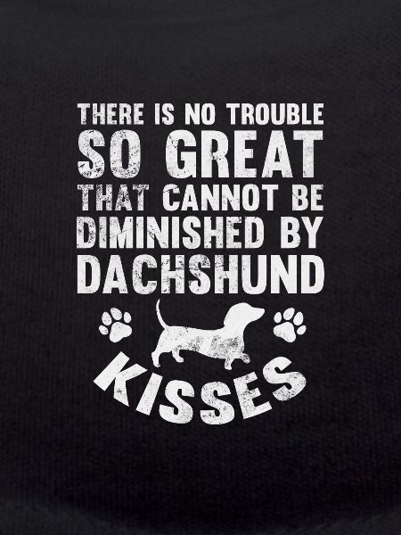 Dachshund