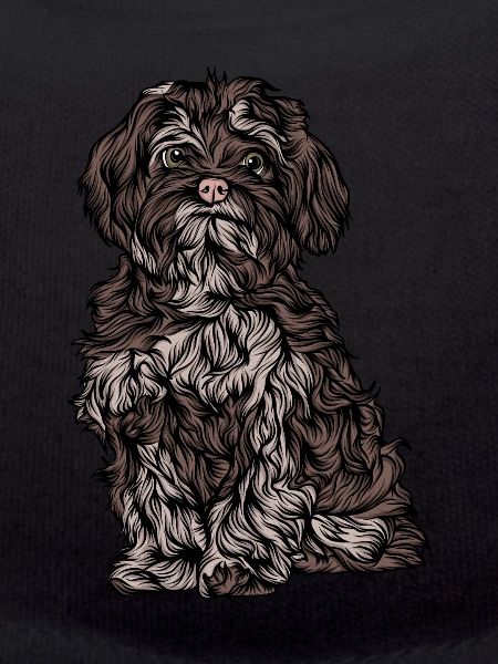 Hund