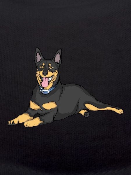 Dobermann Hund