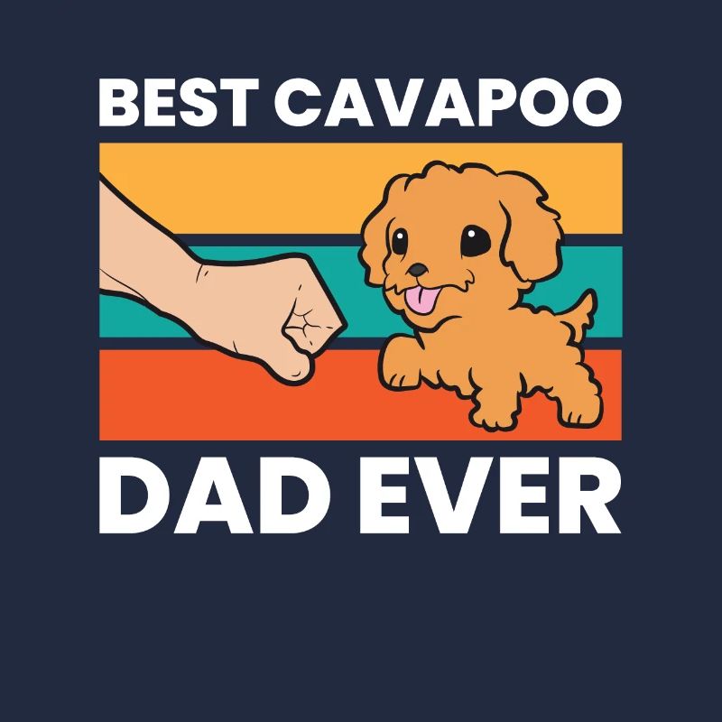 Cavapoo Hund Papa Cavoodle Bester Cavapoo Papa
