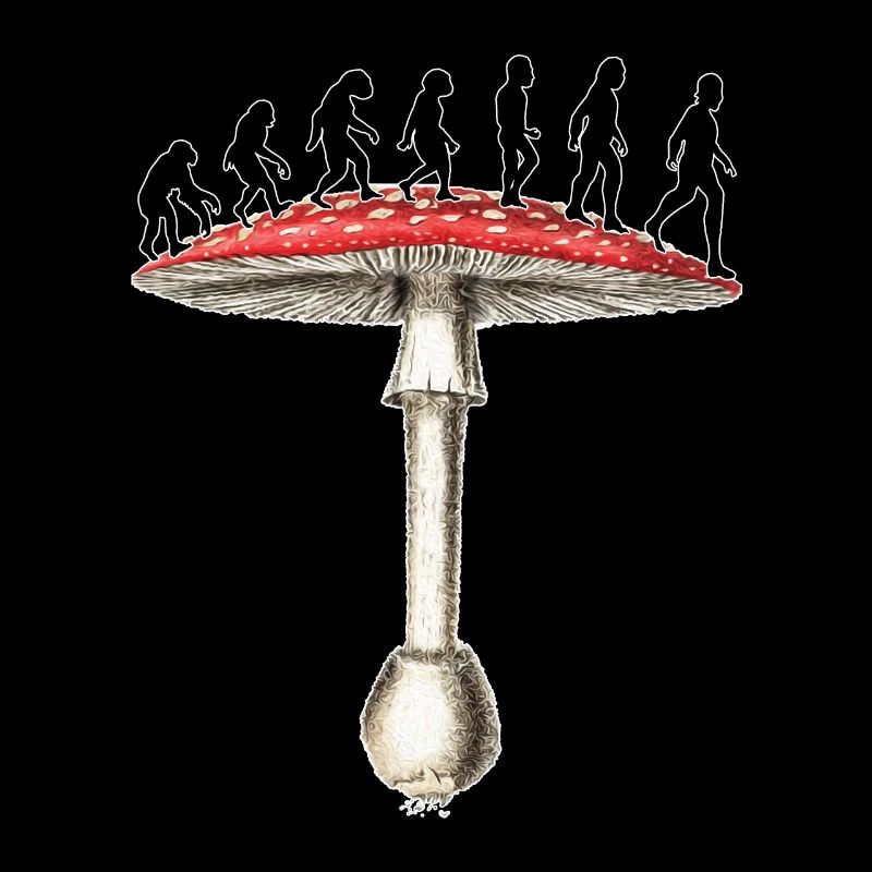 Amanita Muscaria Evolution Steinaffe