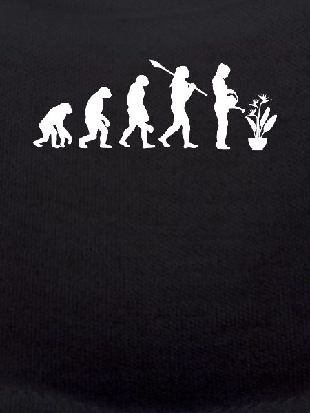 Strelizie Evolution Jardinier