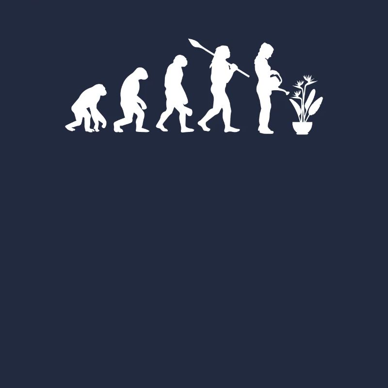 Strelizie Evolution Plant Gardener
