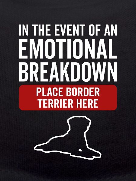 Émotionnel - Dog Border Terrier