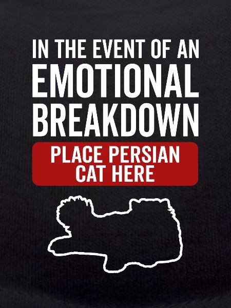 Émotionnel - Chat persan