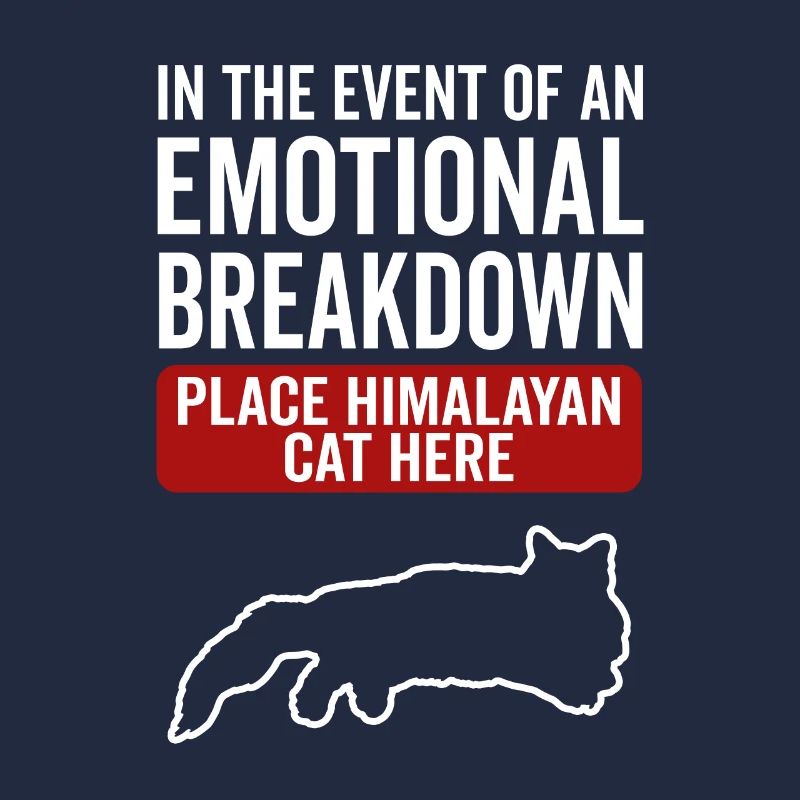 Emotional - Himalayan cat