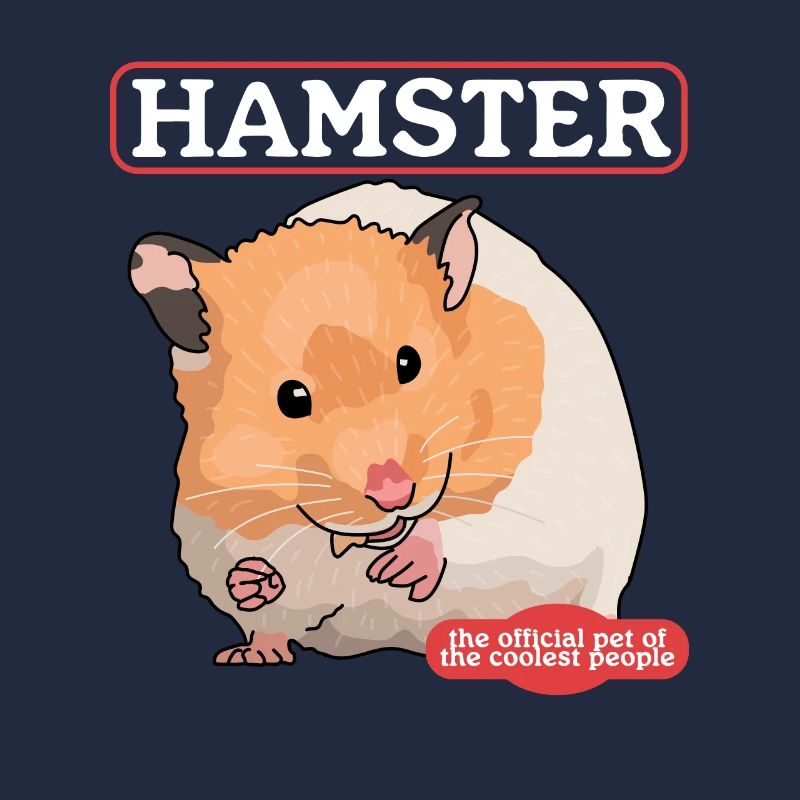 Hamster Golden Hamster Dwarf Hamster Gift