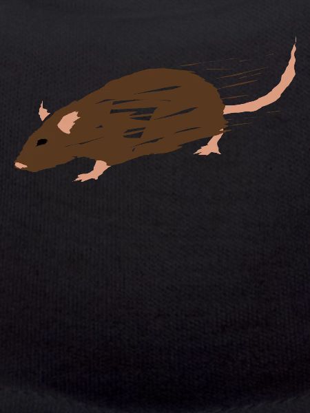 Rat Mouse Rat Mice