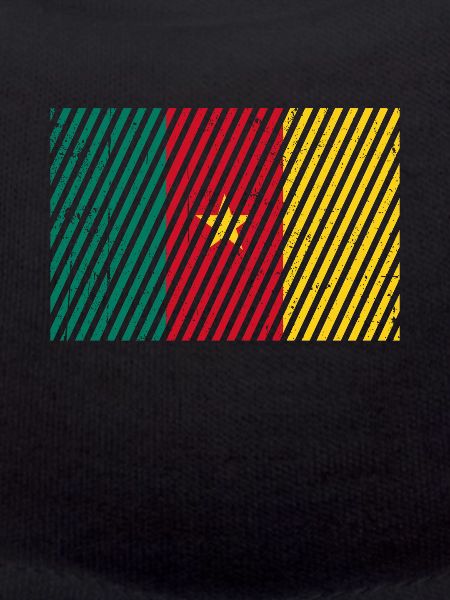 Cameroon flag