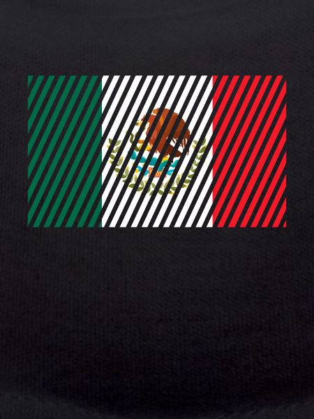 Mexico Flag