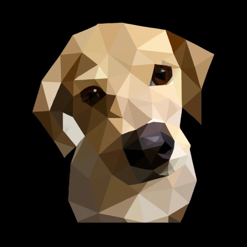Low Poly Labrador Chien