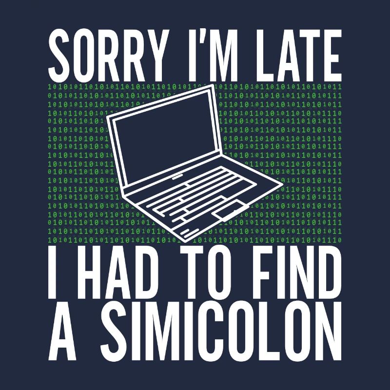 Programmer Computer Scientist