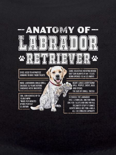 Labrador