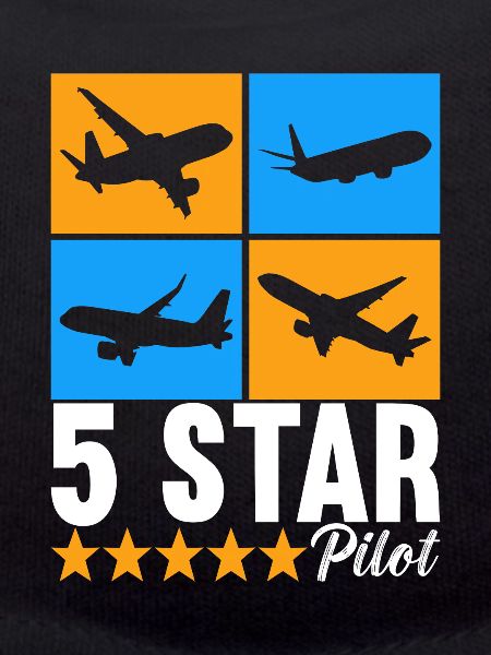 Pilot Flugzeug