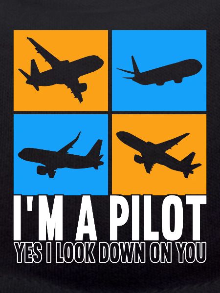 Pilot Flugzeug