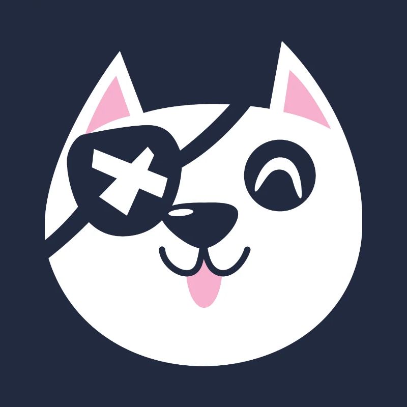 Pirate Cat