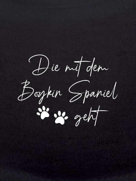Boykin Spaniel