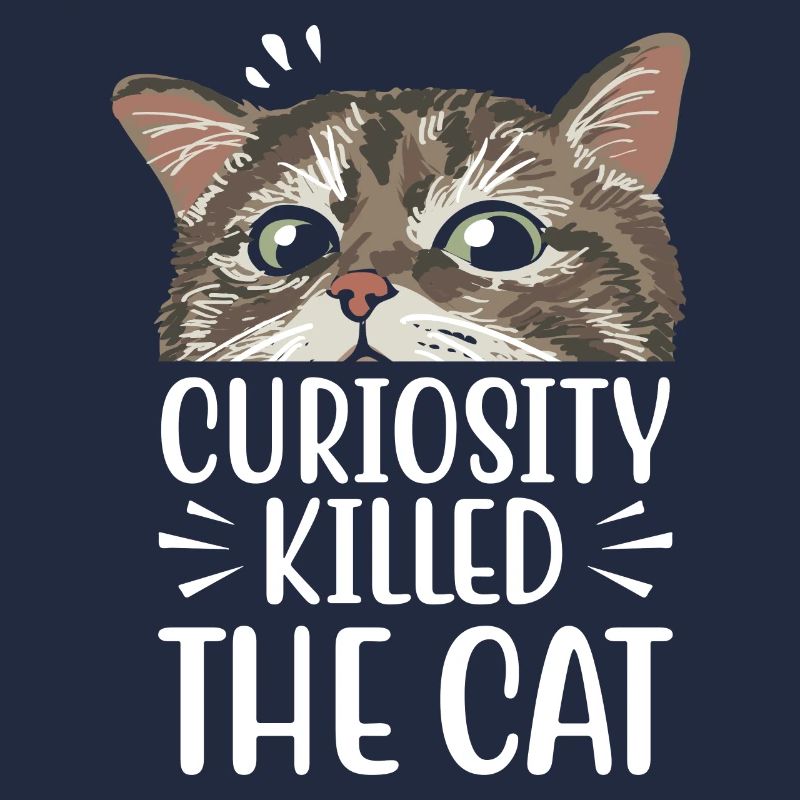 La curiosité est la mort du chat