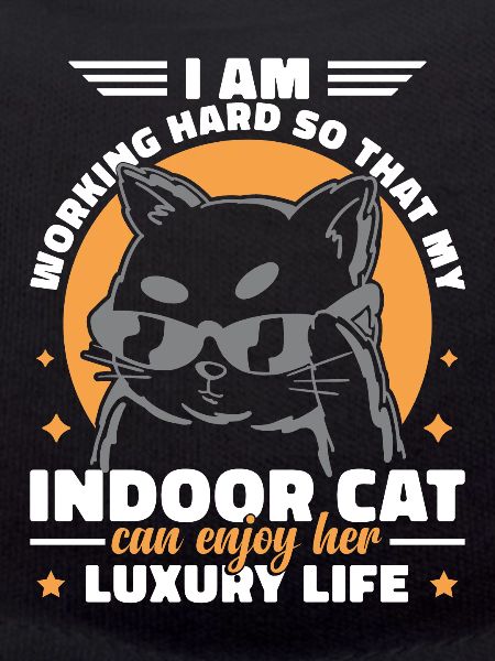 Drôle de chat d’intérieur