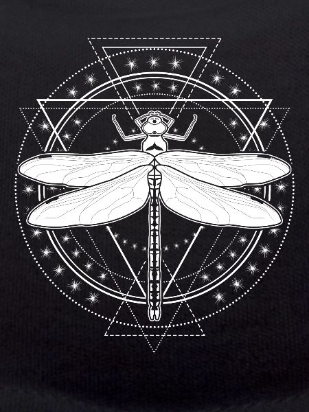 Libellule Occulte Libellules